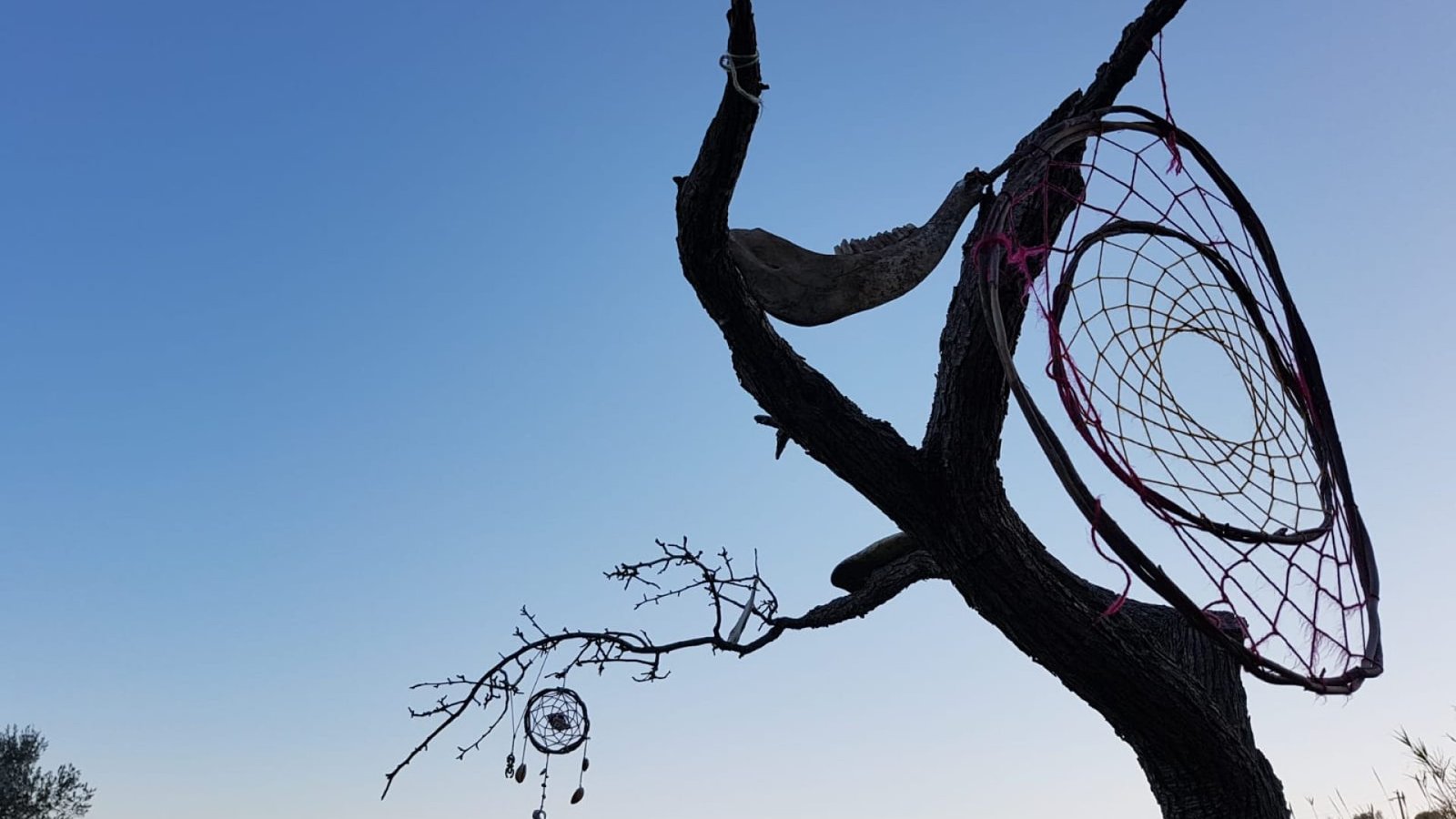 jyotishmati-432hz-gallery-4